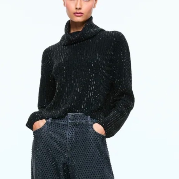 Alice + Olivia Sweaters - New Alice and Olivia Corin pullover